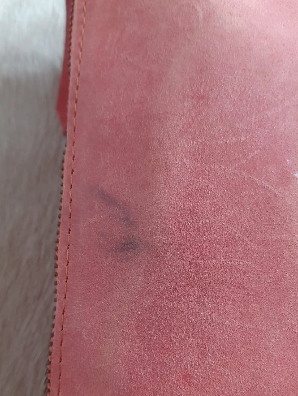 ABLE leather Pouch